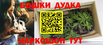 стафф Гусев