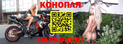 стафф Гусев