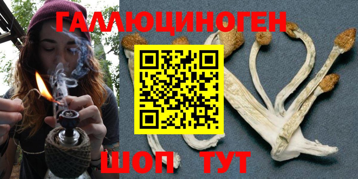 Псилоцибиновые грибы GOLDEN TEACHER Лабытнанги